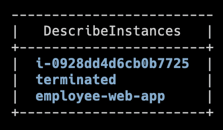 View of terminated EC2 instance