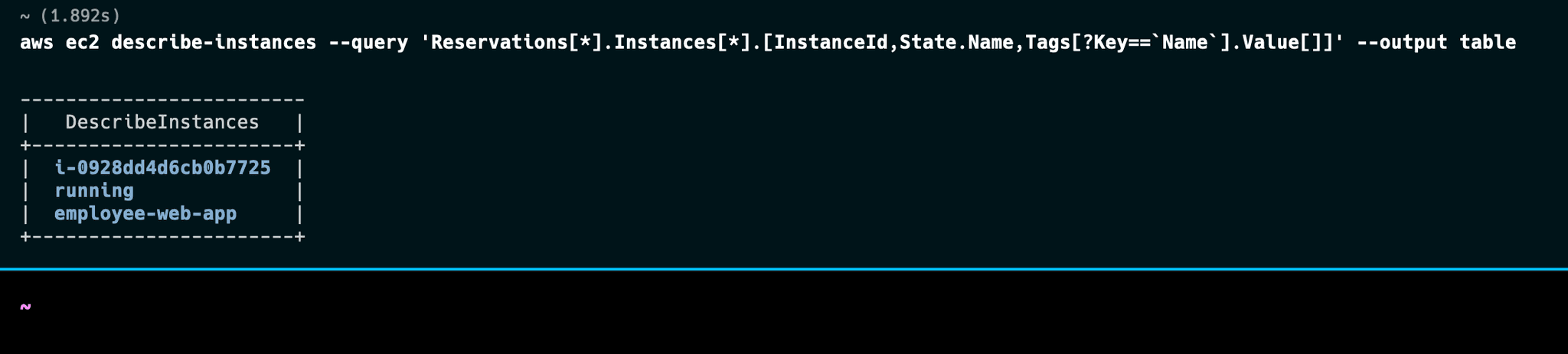 AWS instance information formatted as a table